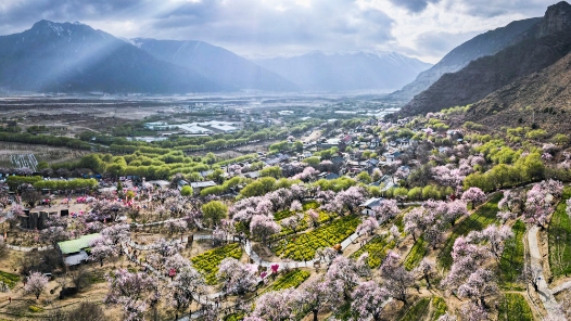 讓民族團(tuán)結(jié)進(jìn)步之花常開長(zhǎng)盛——習(xí)近平總書記關(guān)于加強(qiáng)和改進(jìn)民族工作的重要思想引領(lǐng)推進(jìn)中華民族共同體建設(shè)