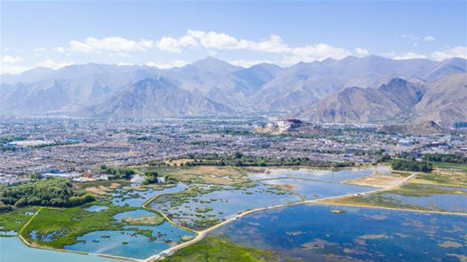 兩會(huì)新華社快訊：去年起訴破壞生態(tài)環(huán)境資源犯罪3.3萬人