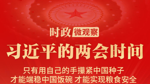 習(xí)近平的兩會(huì)時(shí)間丨“搞農(nóng)業(yè)要把種業(yè)搞上去”