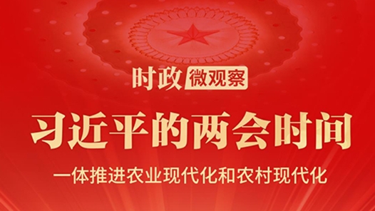 習(xí)近平的兩會(huì)時(shí)間｜加快建設(shè)宜居宜業(yè)和美鄉(xiāng)村