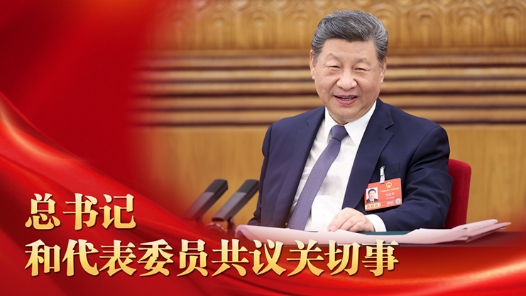 微視頻｜總書記和代表委員共議關(guān)切事
