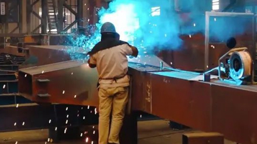 鍛造主力軍 建功“十五五”·深化產(chǎn)業(yè)工人隊伍建設改革③｜“盆景”變“風景”，讓技能人才競相涌現(xiàn)