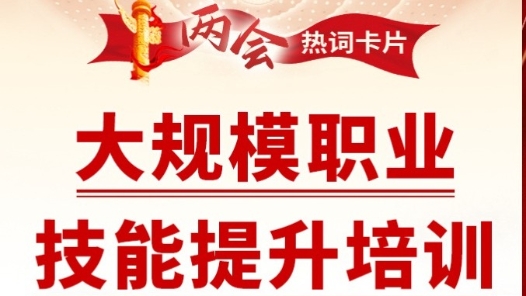 兩會熱詞丨大規(guī)模職業(yè)技能提升培訓(xùn)