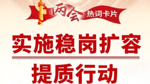 兩會熱詞丨實(shí)施穩(wěn)崗擴(kuò)容提質(zhì)行動