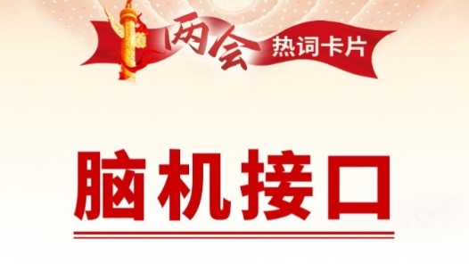 兩會熱詞丨腦機(jī)接口