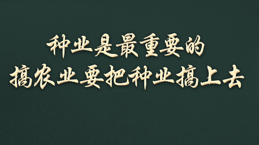 習(xí)語(yǔ)丨一粒小小的種子，何以讓總書記如此牽掛？