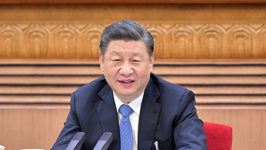 習(xí)近平總書記同代表委員共商民族團(tuán)結(jié)進(jìn)步事業(yè)的故事