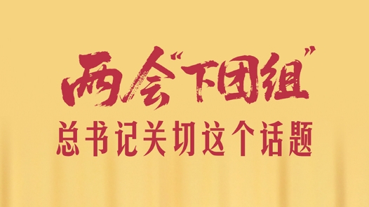 一見(jiàn)·兩會(huì)“下團(tuán)組”，總書記關(guān)切這個(gè)話題