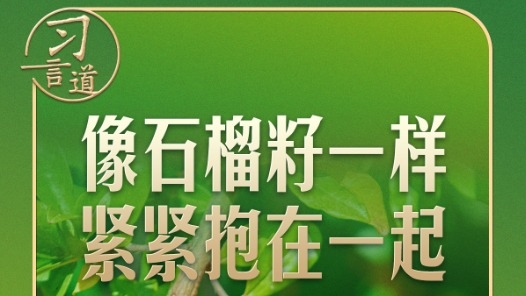 習(xí)言道｜“石榴籽”之喻，有了堅(jiān)實(shí)的法治保障