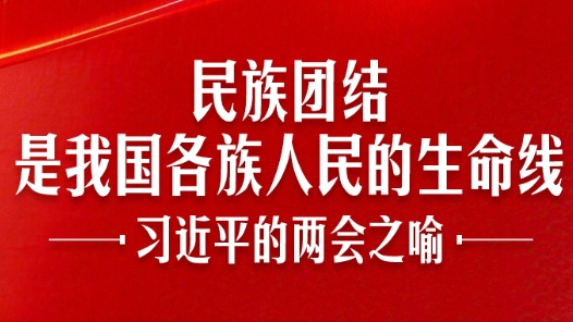 習(xí)近平的兩會(huì)之喻｜我國(guó)各族人民的生命線