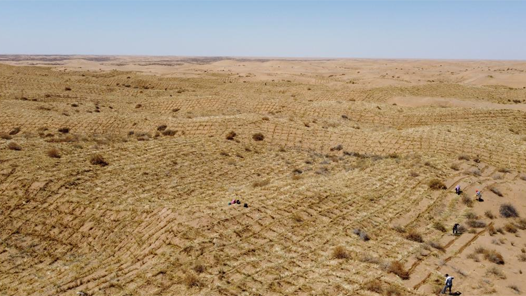 研讀《習(xí)近平與一線職工朋友們》·踐行囑托 一線回響｜以勞模精神為引領(lǐng)守護(hù)綠色家園