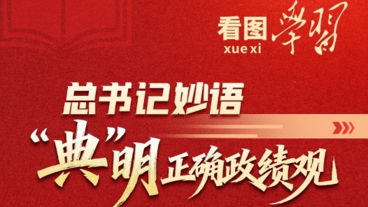 看圖學(xué)習(xí)｜總書記妙語“典”明正確政績觀