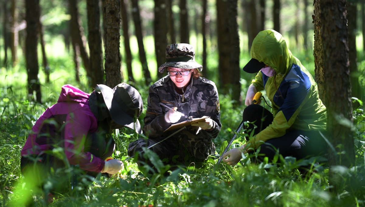 總書記叮囑我們“要守護好這片林海”
