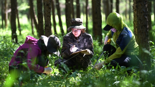 總書記叮囑我們“要守護(hù)好這片林?！? title=