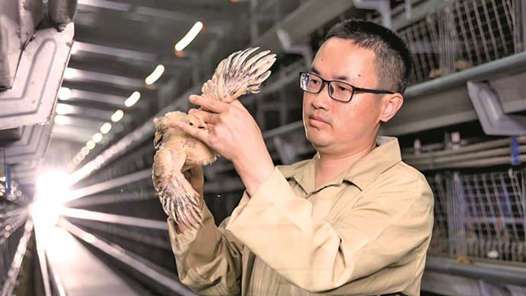 身邊的大國(guó)工匠·2025年“大國(guó)工匠年度人物”⑧｜數(shù)智賦能中國(guó)畜牧騰飛