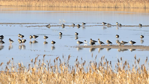 創(chuàng)造經(jīng)得起實(shí)踐、人民、歷史檢驗(yàn)的實(shí)績｜以科學(xué)態(tài)度和務(wù)實(shí)精神謀發(fā)展