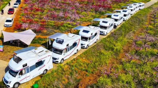 湖北屈家?guī)X：“一朵桃花”成為激活鄉(xiāng)村振興“金鑰匙”