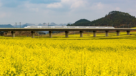 高鐵“尋香之旅”受青睞