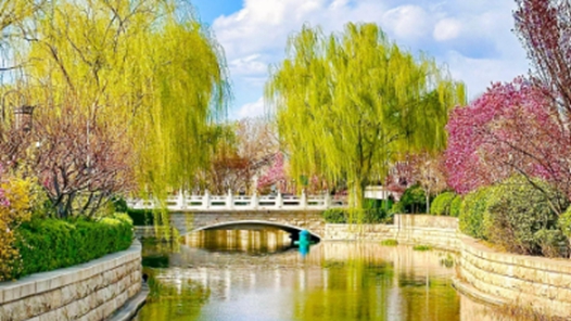 “花開北京·2026京津冀全民賞花季”系列生態(tài)文化活動將啟動