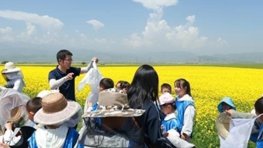 青海打造主題研學(xué)旅游產(chǎn)品矩陣