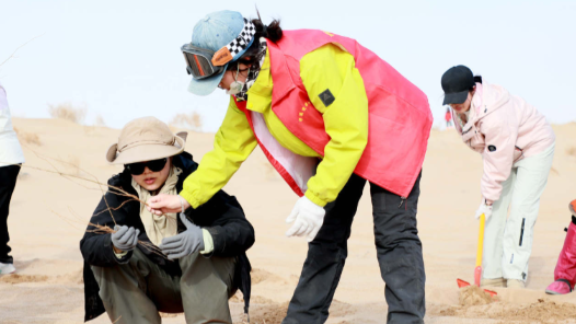 超4萬人千里奔赴：“請到民勤種棵樹”志愿活動熱潮迭起