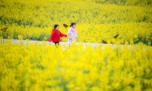 春假文旅“大禮包”密集上線