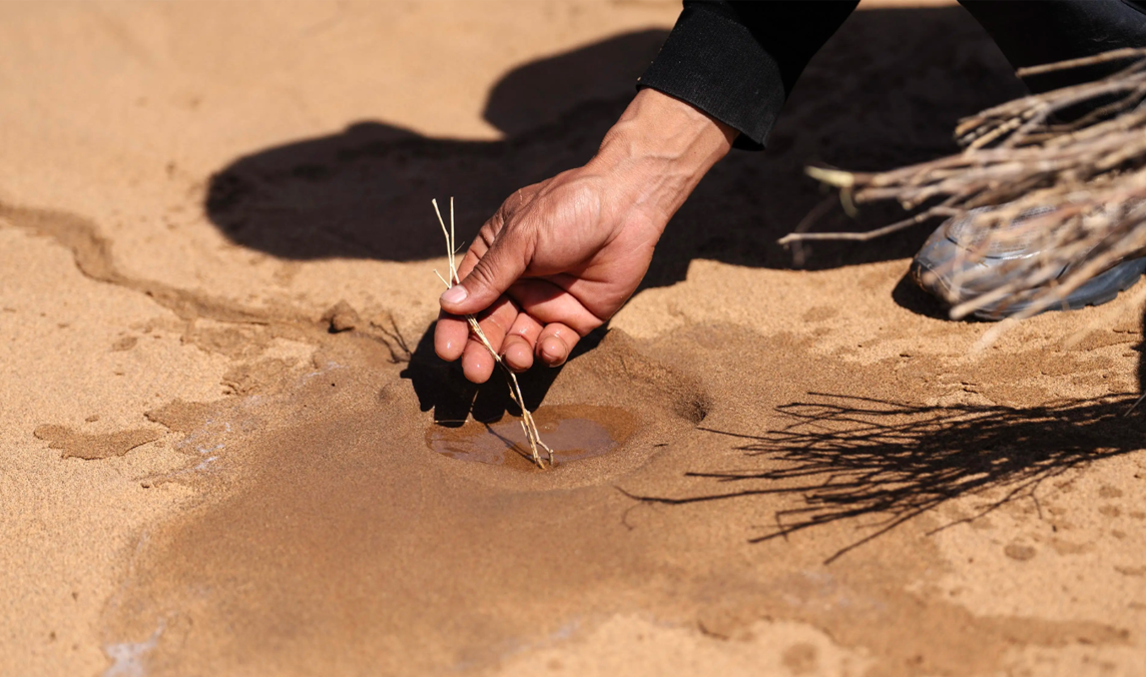 回訪“習(xí)近平與一線職工朋友們”的故事｜久久為功，敢把沙漠變綠洲