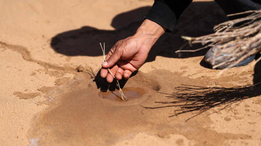 回訪“習(xí)近平與一線職工朋友們”的故事｜久久為功，敢把沙漠變綠洲