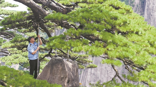 思政引領(lǐng)聚合力 凝心鑄魂擔(dān)使命｜安徽：“云講述”崗位思政課“永不落幕”