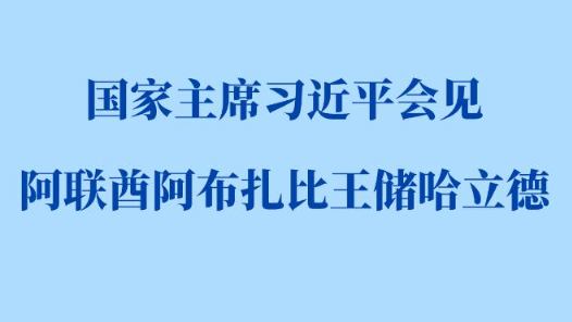 新華社權(quán)威快報丨習(xí)近平會見阿聯(lián)酋阿布扎比王儲哈立德