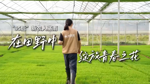 春日經(jīng)濟(jì)新圖景｜“95后”新農(nóng)人駱雨：在田野中綻放青春之花
