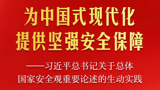 為中國式現(xiàn)代化提供堅強(qiáng)安全保障——習(xí)近平總書記關(guān)于總體國家安全觀重要論述的生動實(shí)踐