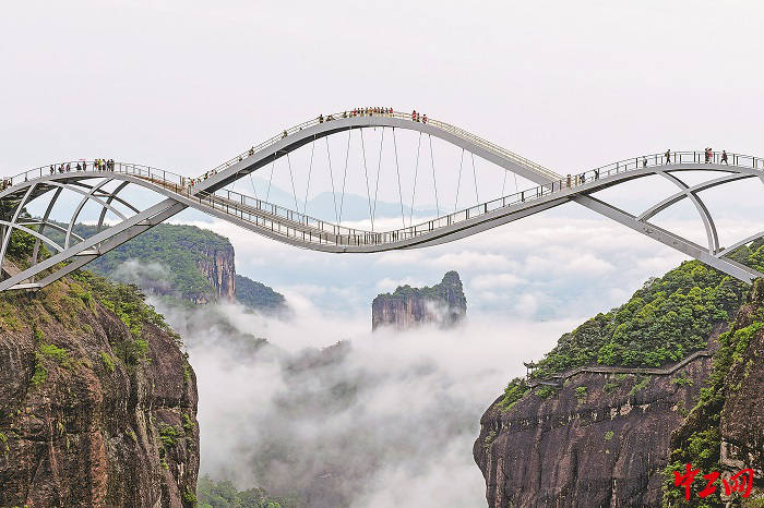 3403388_tpzz_1776179084394_b