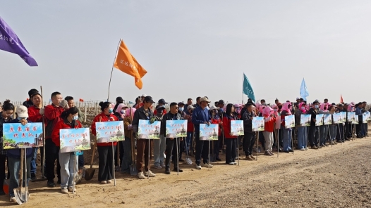 寧夏吳忠紅寺堡區(qū)總工會舉辦釀酒葡萄出土展藤勞動技能競賽