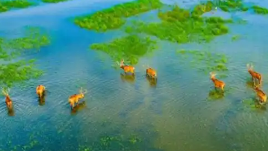 經(jīng)濟(jì)聚焦·關(guān)注海洋經(jīng)濟(jì)｜黃海泥灘成文旅“富礦”