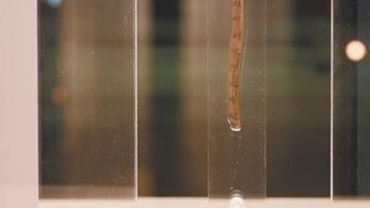 百余枚?；韬啝┰辛料? title=