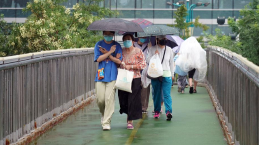 7天帶薪雨假、雨天上班補貼200元！網(wǎng)友：羨慕哭了