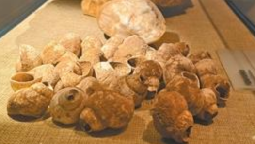 文物里的潮生活｜萬年螺韻 一城粉香