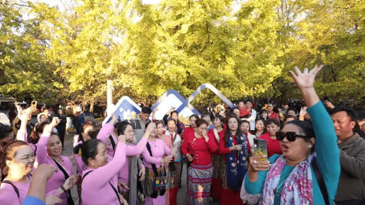 “低強(qiáng)度、深體驗”重新定義銀發(fā)旅游產(chǎn)品