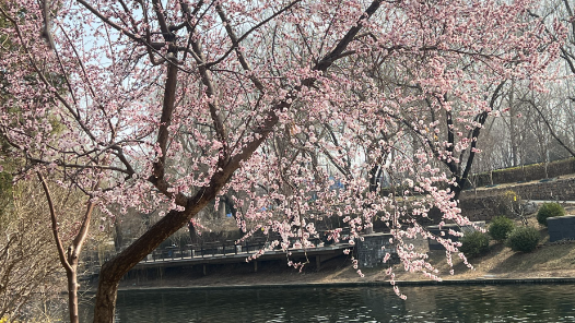 “暢游北京”文旅地圖發(fā)布