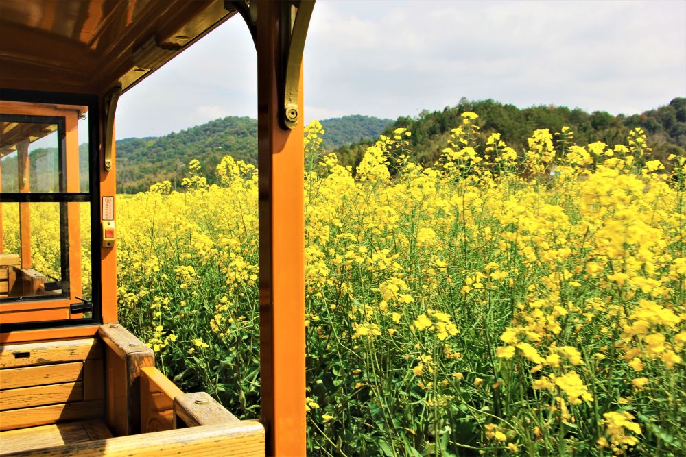 20260415_210154_005 20260415_210154_005