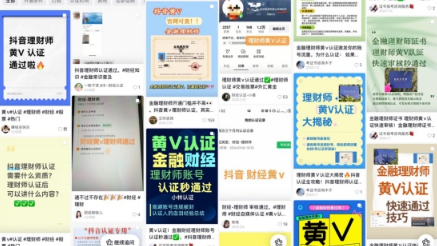 財經(jīng)大V資質(zhì)花錢就認證？記者調(diào)查起底“人造理財師”