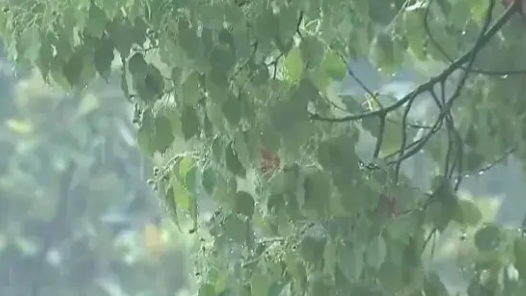 浙江正式入汛 預(yù)測(cè)局地雨量比往年偏多