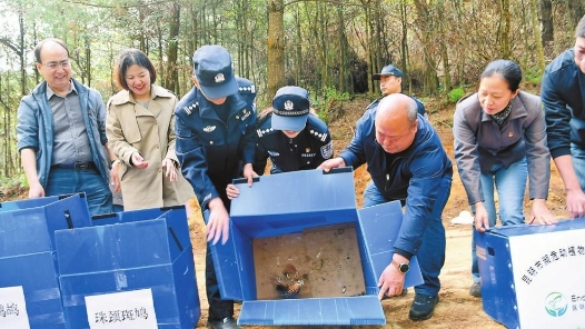 嚴(yán)厲打擊危害鳥類等野生動(dòng)物犯罪
