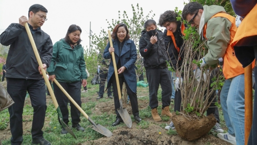 北京望京街道總工會開展2026春季全民義務(wù)植樹活動